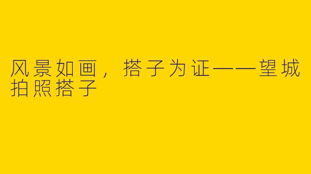 风景如画，搭子为证——望城拍照搭子