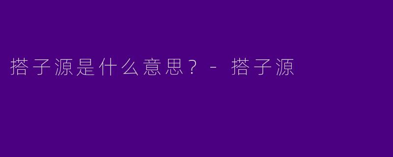 搭子源是什么意思?