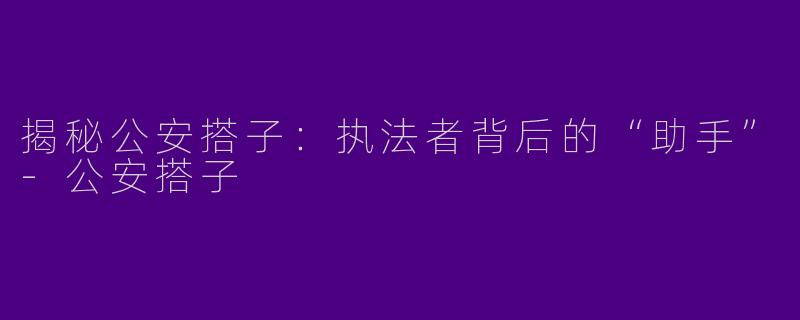 揭秘公安搭子：执法者背后的“助手”-公安搭子