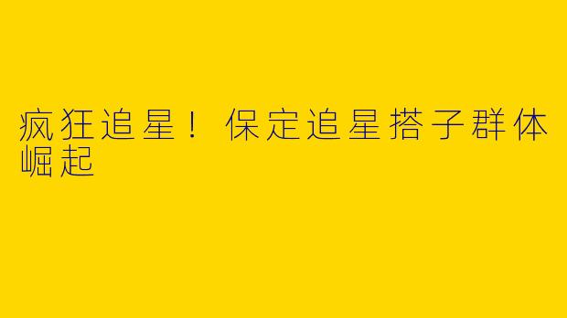 疯狂追星！保定追星搭子群体崛起