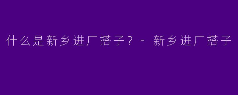 什么是新乡进厂搭子？
