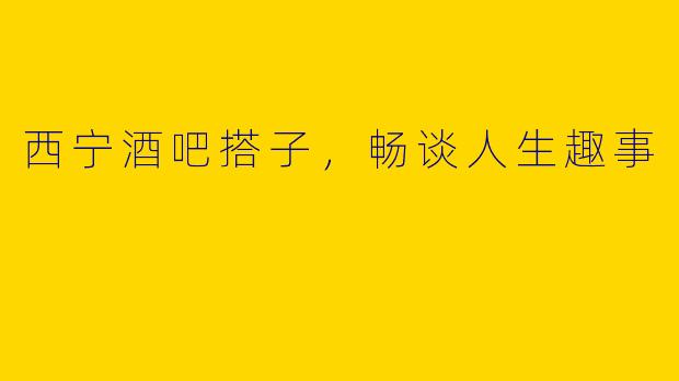 西宁酒吧搭子，畅谈人生趣事