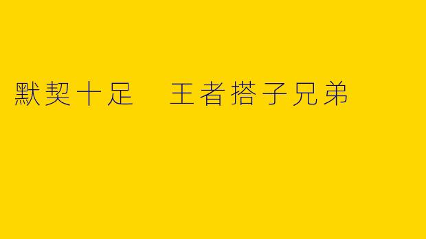 默契十足 王者搭子兄弟