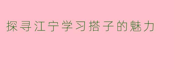 探寻江宁学习搭子的魅力