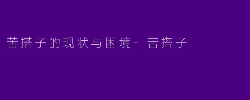 苦搭子的现状与困境-苦搭子