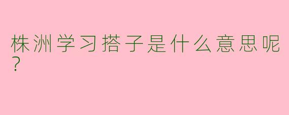 株洲学习搭子是什么意思呢？