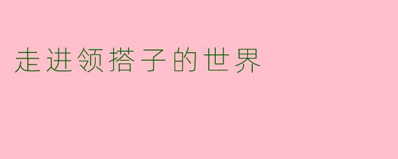 走进领搭子的世界