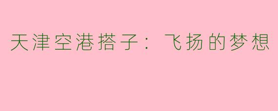 天津空港搭子：飞扬的梦想