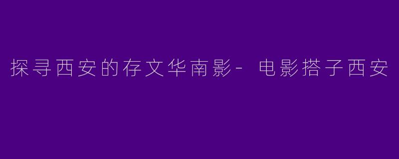 探寻西安的存文华南影