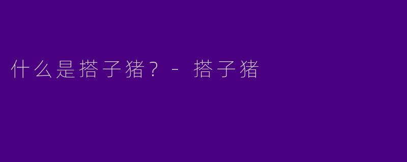 什么是搭子猪?