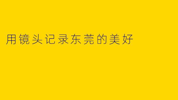 用镜头记录东莞的美好
