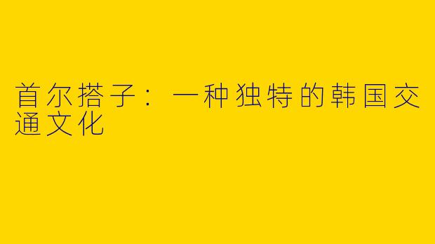 首尔搭子：一种独特的韩国交通文化