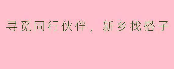 寻觅同行伙伴，新乡找搭子
