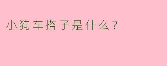 小狗车搭子是什么?