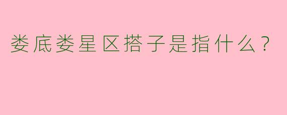 娄底娄星区搭子是指什么?