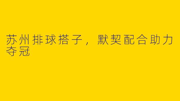 苏州排球搭子，默契配合助力夺冠