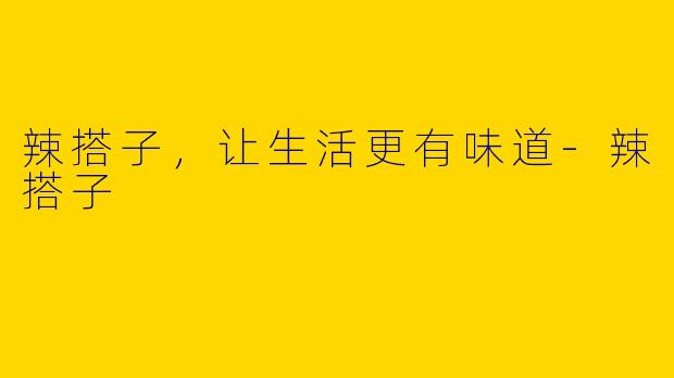辣搭子，让生活更有味道-辣搭子