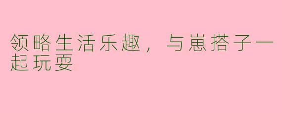领略生活乐趣,与崽搭子一起玩耍