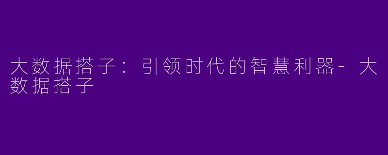 大数据搭子：引领时代的智慧利器-大数据搭子