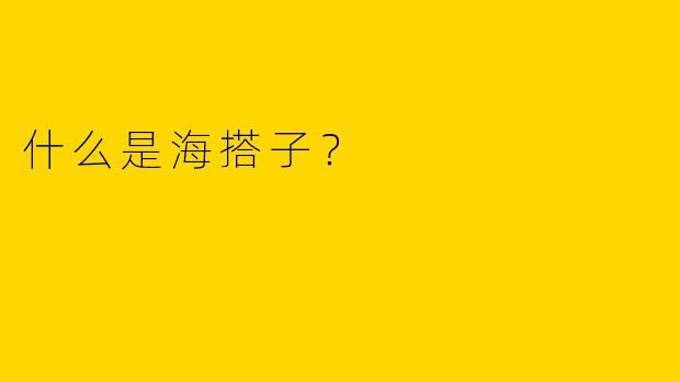 什么是海搭子？