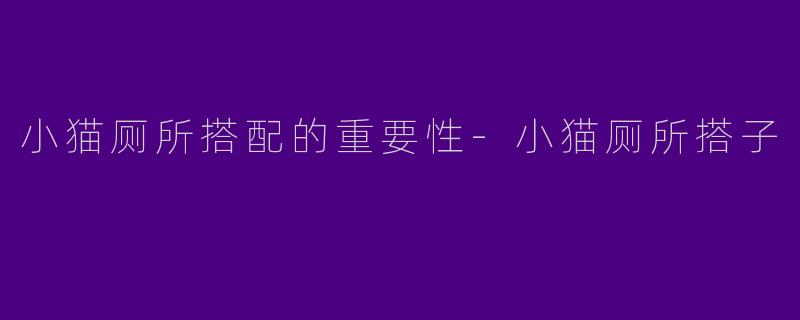 小猫厕所搭配的重要性-小猫厕所搭子