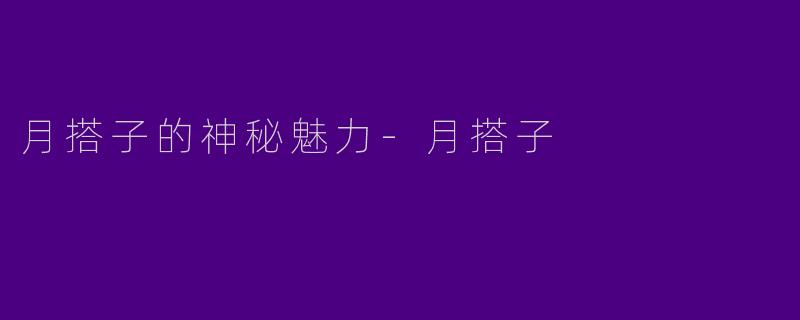 月搭子的神秘魅力