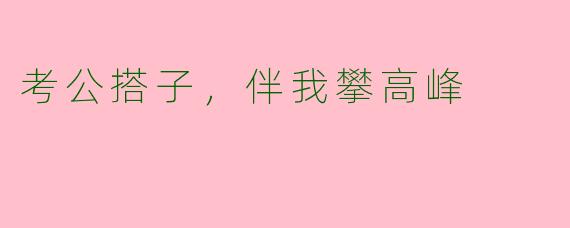 考公搭子，伴我攀高峰