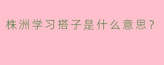 株洲学习搭子是什么意思?