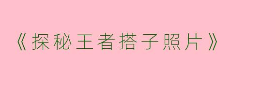《探秘王者搭子照片》