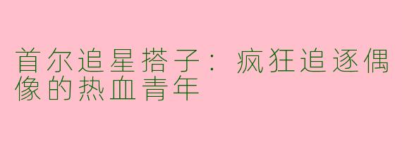 首尔追星搭子：疯狂追逐偶像的热血青年
