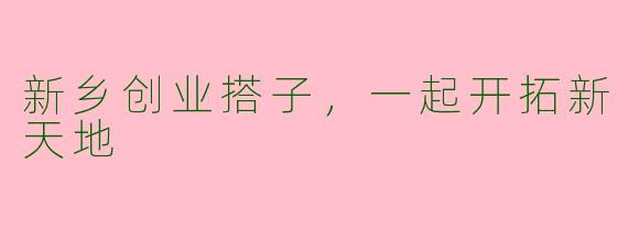 新乡创业搭子，一起开拓新天地