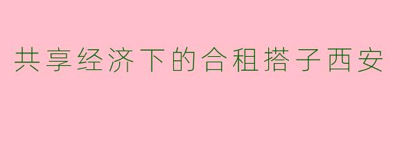 共享经济下的合租搭子西安