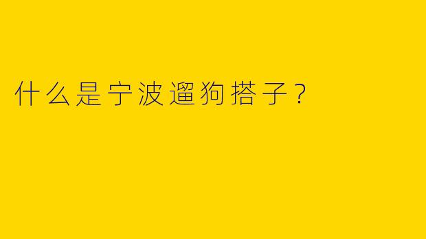 什么是宁波遛狗搭子?