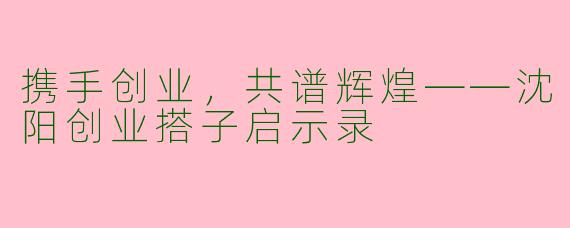 携手创业，共谱辉煌——沈阳创业搭子启示录