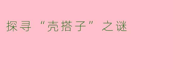 探寻“壳搭子”之谜