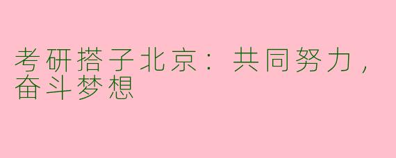 考研搭子北京：共同努力，奋斗梦想