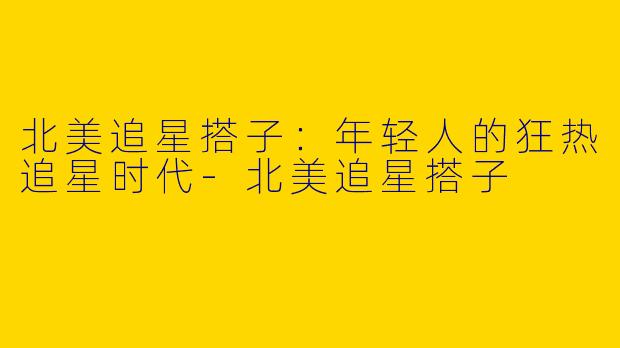 北美追星搭子：年轻人的狂热追星时代