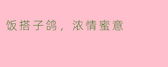 饭搭子鸽，浓情蜜意
