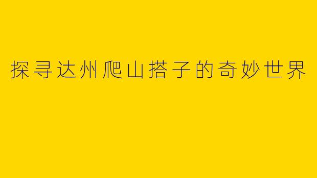 探寻达州爬山搭子的奇妙世界