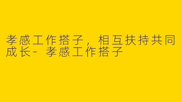 孝感工作搭子，相互扶持共同成长-孝感工作搭子