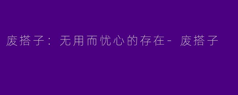 废搭子：无用而忧心的存在-废搭子