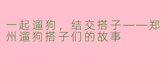 一起遛狗，结交搭子——郑州遛狗搭子们的故事