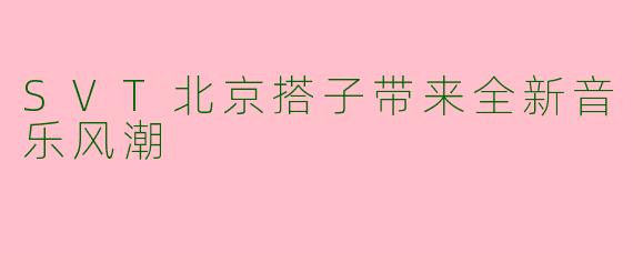 SVT北京搭子带来全新音乐风潮