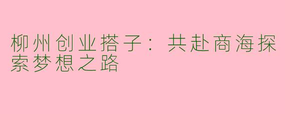柳州创业搭子：共赴商海探索梦想之路