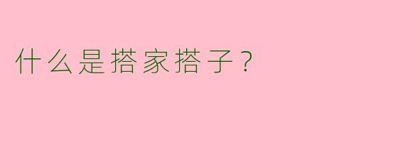 什么是搭家搭子？