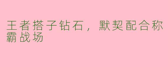 王者搭子钻石，默契配合称霸战场