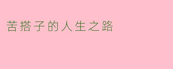 苦搭子的人生之路