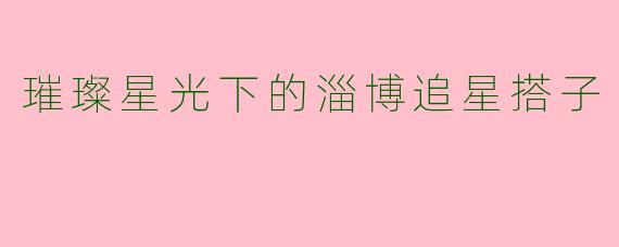 璀璨星光下的淄博追星搭子