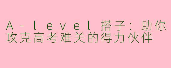 A-level搭子:助你攻克高考难关的得力伙伴