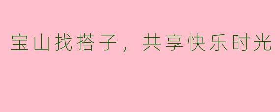 宝山找搭子，共享快乐时光